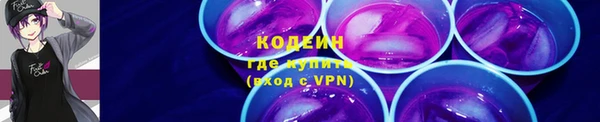 первитин Няндома