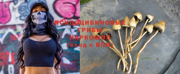 дживик Нягань